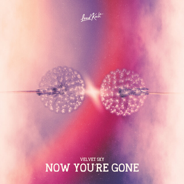 Now You're Gone