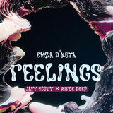 Feelings