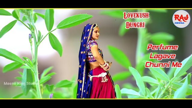 Perfume Lagave Chunni Me - Rajasthani Video Song (Rajasthani)