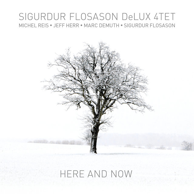 Cover art for album Here and Now by Sigurdur Flosason DeLux 4Tet