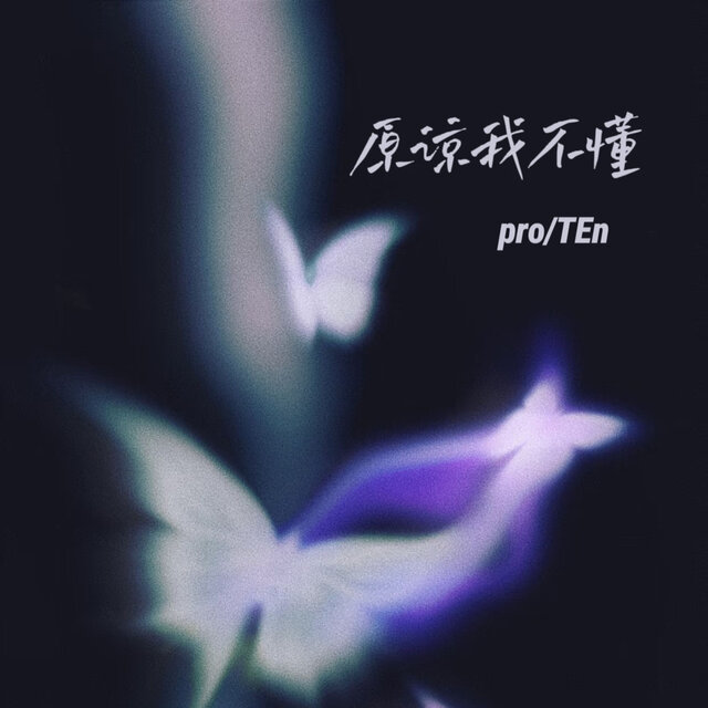 原谅我不懂