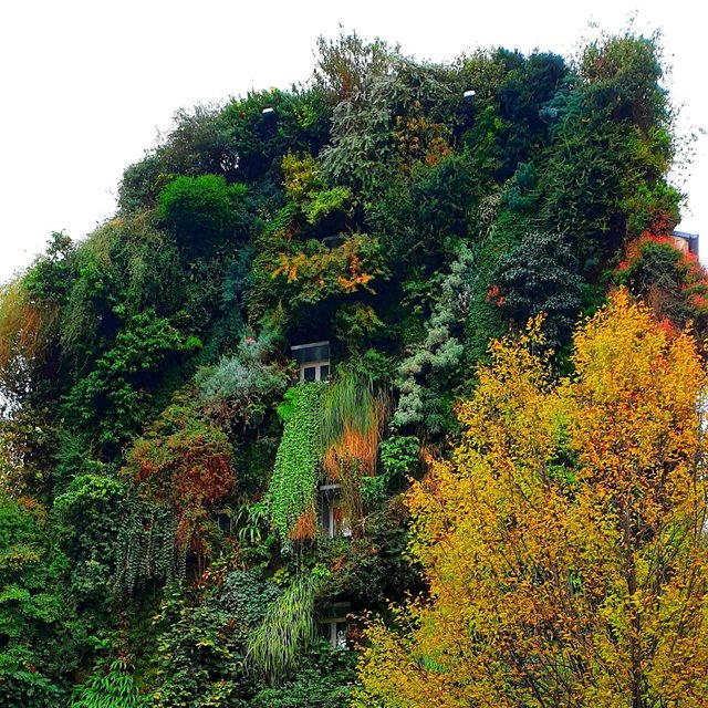 Sentier