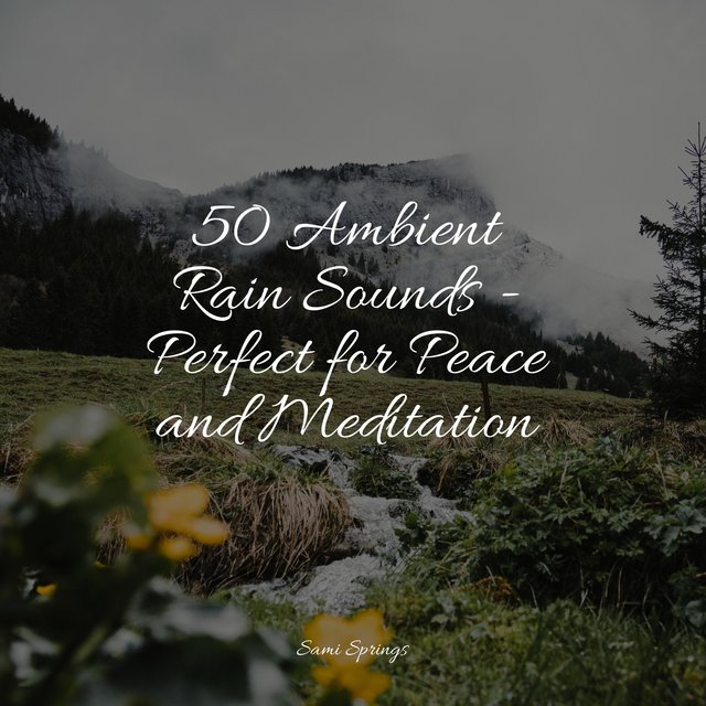 Gentle Forest Rain by Tibetan Singing Bowls for Relaxation on TIDAL