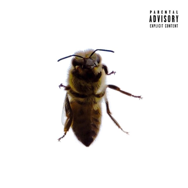 Mind Your Own Beezwax