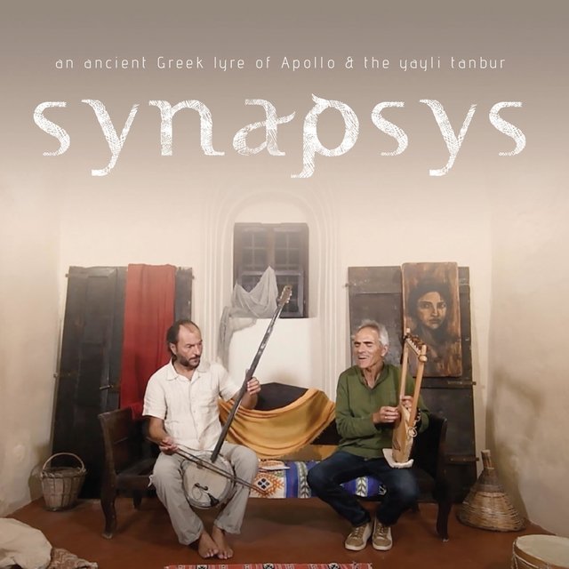 Synapsis