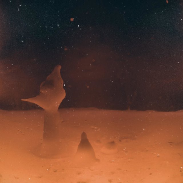 The Collapse