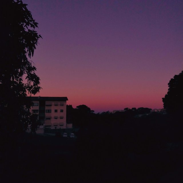 Essa Quarentena