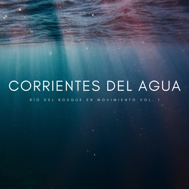 Corrientes Del Agua: Río Del Bosque En Movimiento Vol. 1