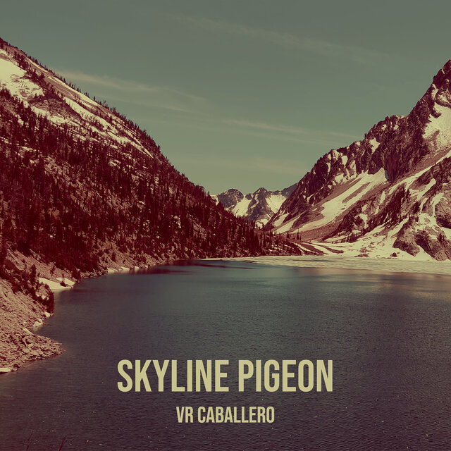 Skyline Pigeon