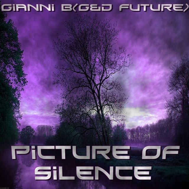 Picture Of Silence (Digital Only)