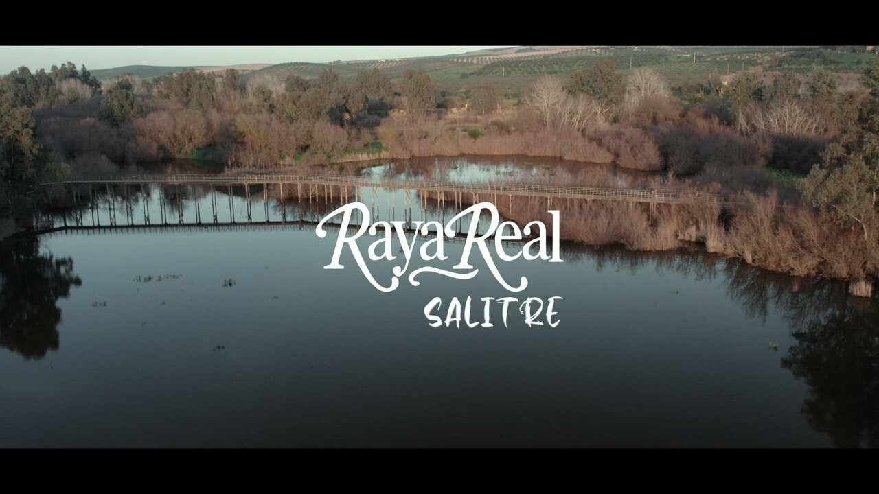 Salitre