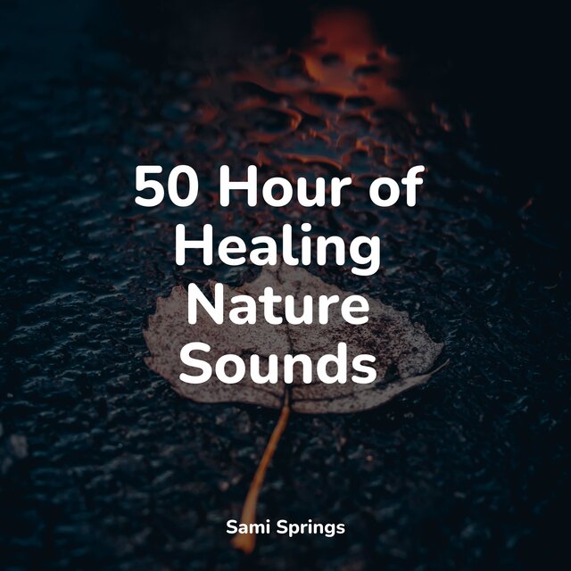 50 Hour of Healing Nature Sounds