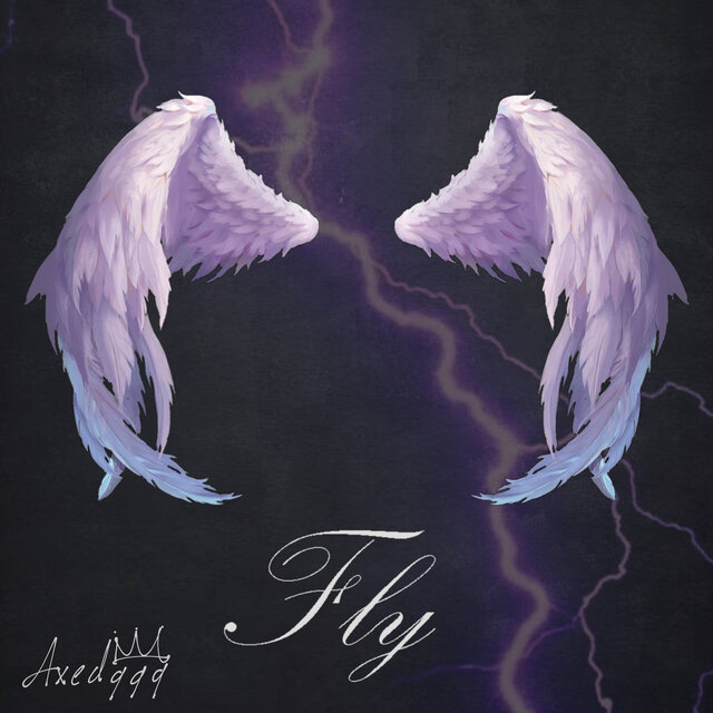 Fly