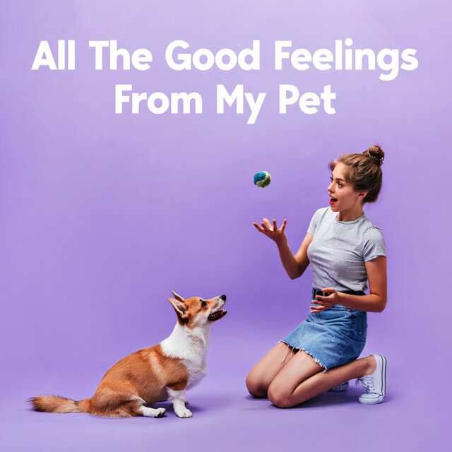 All The Good Filings From My Pet