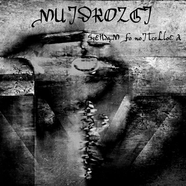 (MUidRoZgi) SsENdaM Fo noITceLloC A