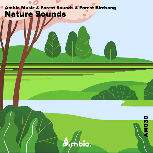 Nature Sounds