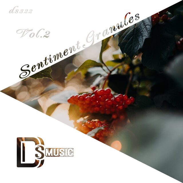 Sentiment Granules, Vol. 2