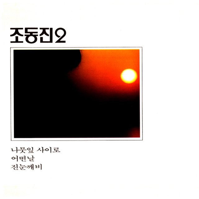 나뭇잎 사이로/어떤날/진눈꺠비 (재발매)