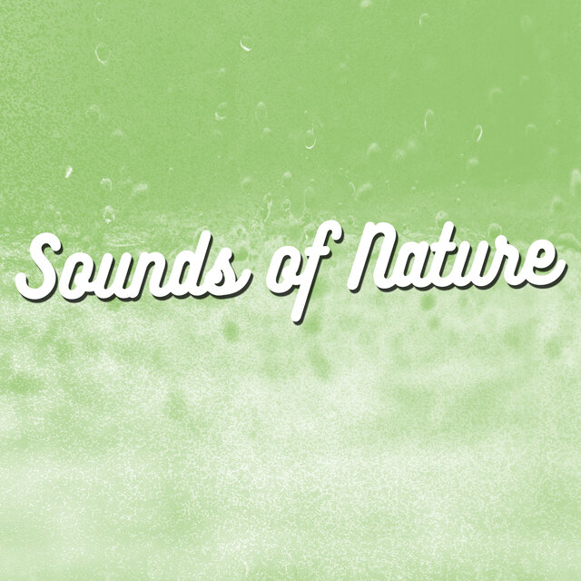 Sounds of Nature