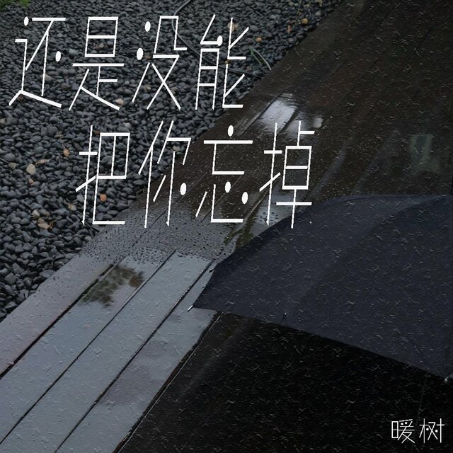 还是没能把你忘掉