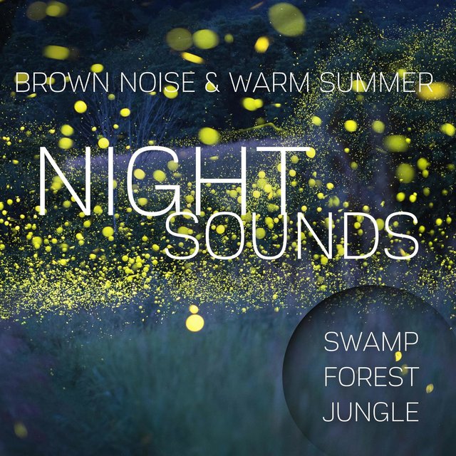 Brown Noise & Warm Summer Night Sounds (Swamp, Forest, Jungle), Loopable