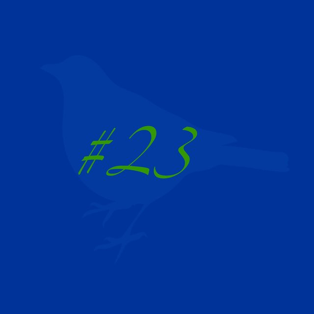 #23