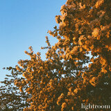 Lightroom 6