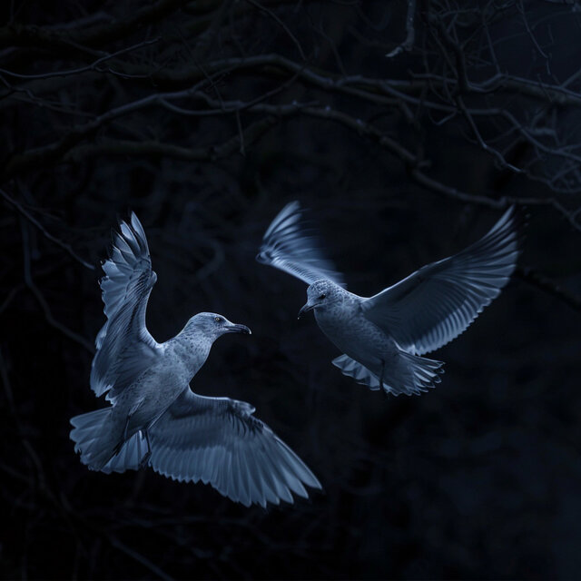 Binaural Baby Calm: Birds Singing for Soothing