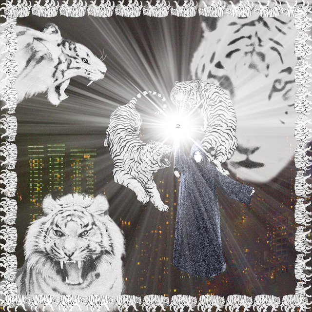 Cover art for album White Tiger by 2hollis