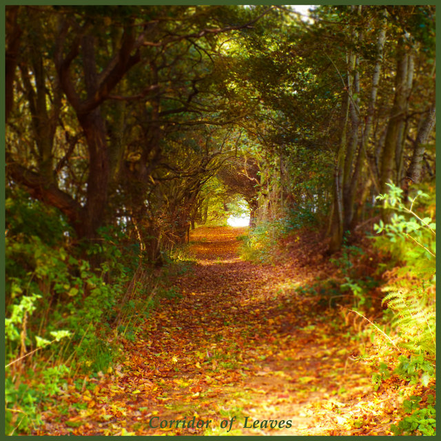 Corridor of Leaves