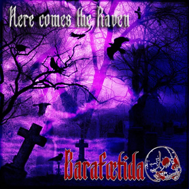 Here Comes the Raven