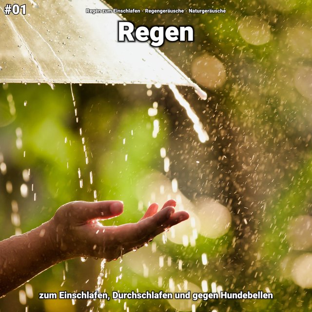 #01 Regen zum Einschlafen, Durchschlafen und gegen Hundebellen
