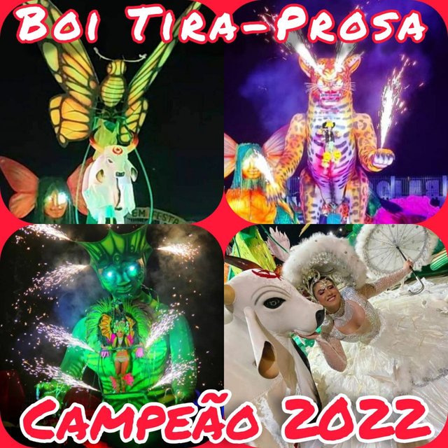 Boi Tira-Prosa - Campeão 2022