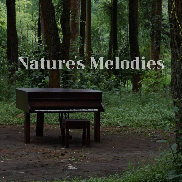 Nature's Melodies
