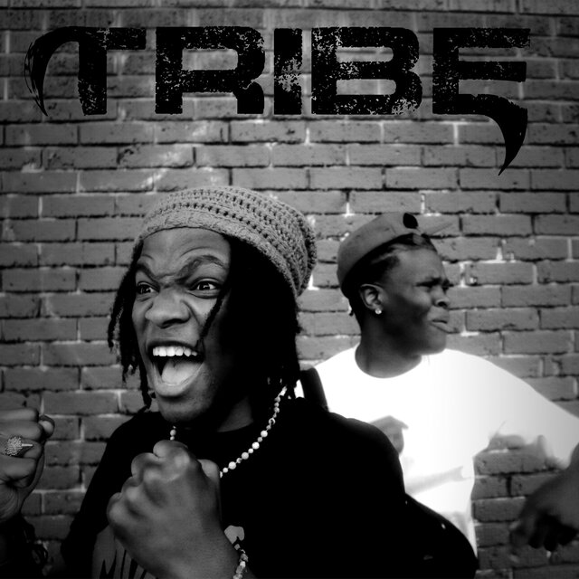 TRIBE