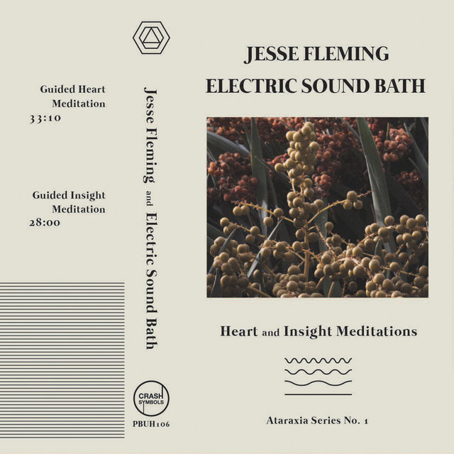 Heart & Insight Meditations