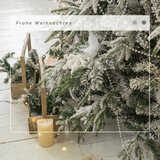 Forever Christmas: Joy To The World