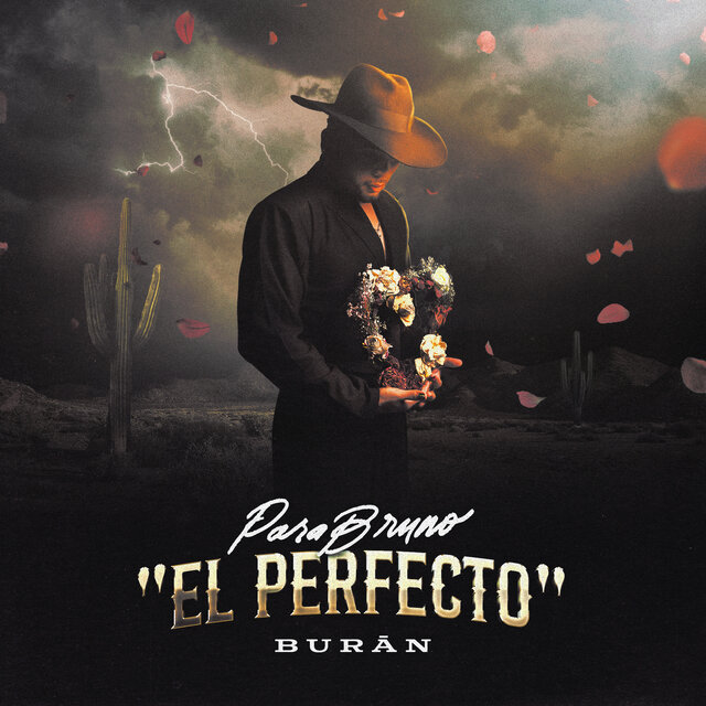 PARA BRUNO (EL PERFECTO)