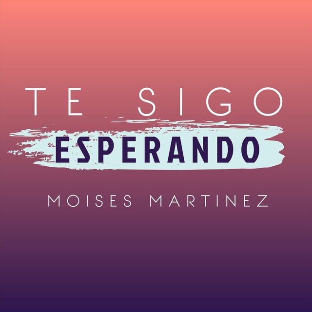 Te Sigo Esperando