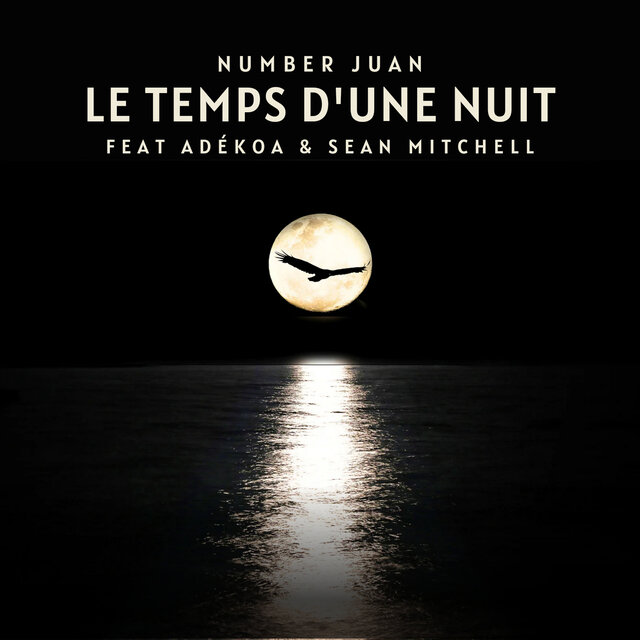 Le temps d'une nuit