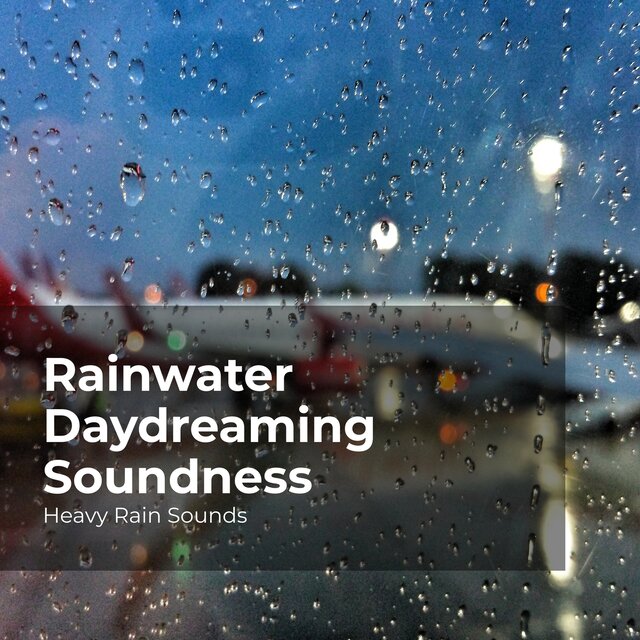 Rainwater Daydreaming Soundness