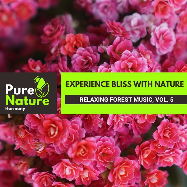Experience Bliss with Nature - Relaxing Forest Music, Vol. 5