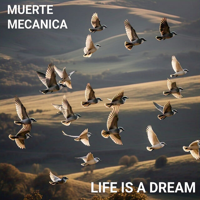 Life Is a Dream