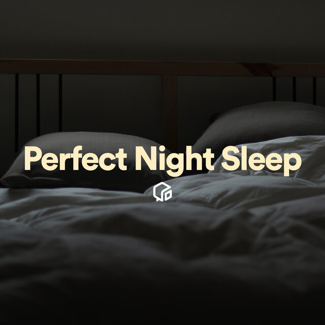 Perfect Night Sleep