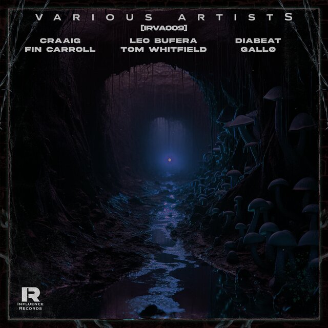 INFLUENCE VARIOUS ARTISTS 009