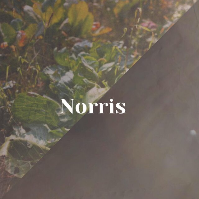Norris