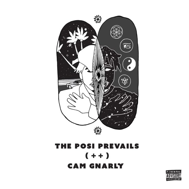 The Posi Prevails