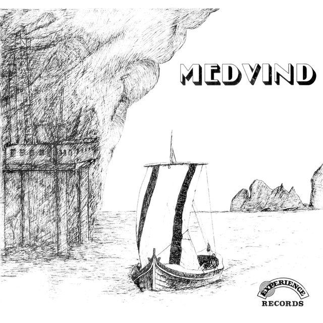 Visegruppa Medvind