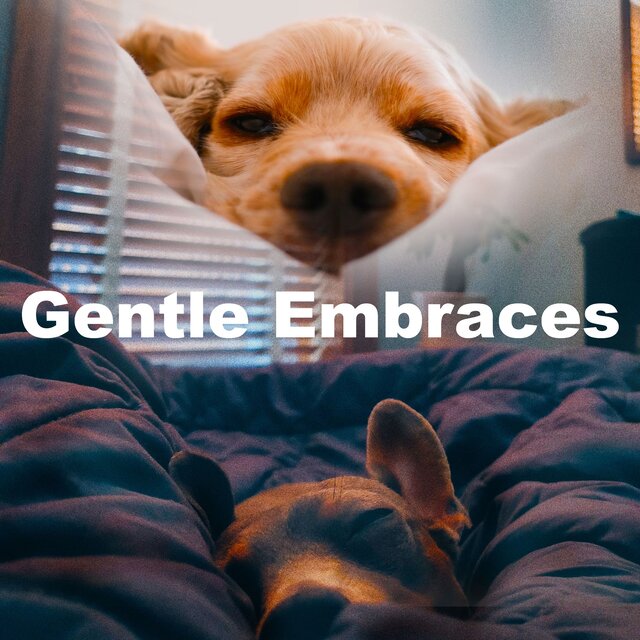 Gentle Embraces