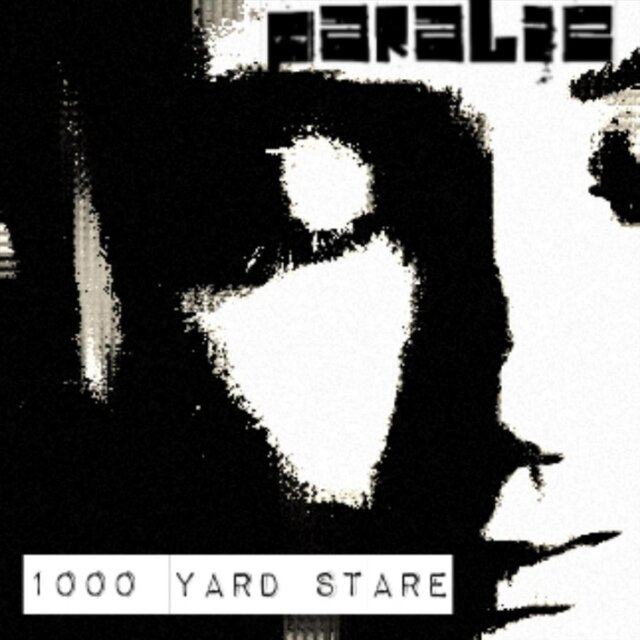1000 Yard Stare